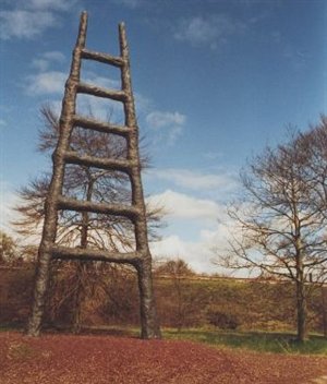 Armando - De Ladder.jpg